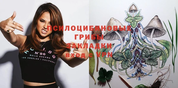 спиды Елизово