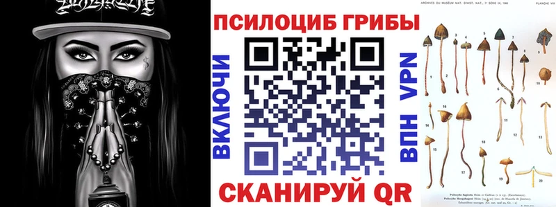 что такое   Великие Луки  Псилоцибиновые грибы Psilocybine cubensis 